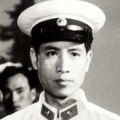 手机免费播放